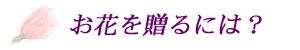c@X@ԉ@Ԃ𑡂ɂ