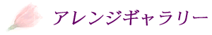 c@X@ԉ@Ԃ̃M[