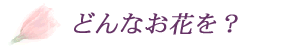c@X@ԉ@ǂȉԂ