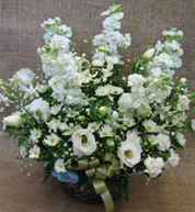 大田区　大森　花屋