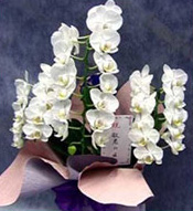 c@X@ԉ